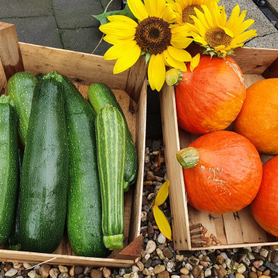 Frisches Gemüse aus Omas Garten